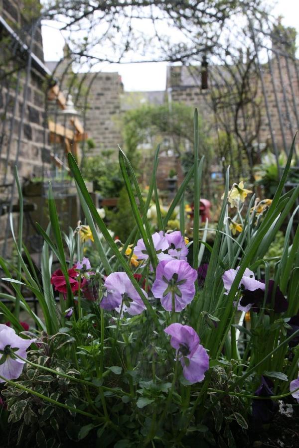 Bed and Breakfast Alexandra Court Harrogate Exterior foto
